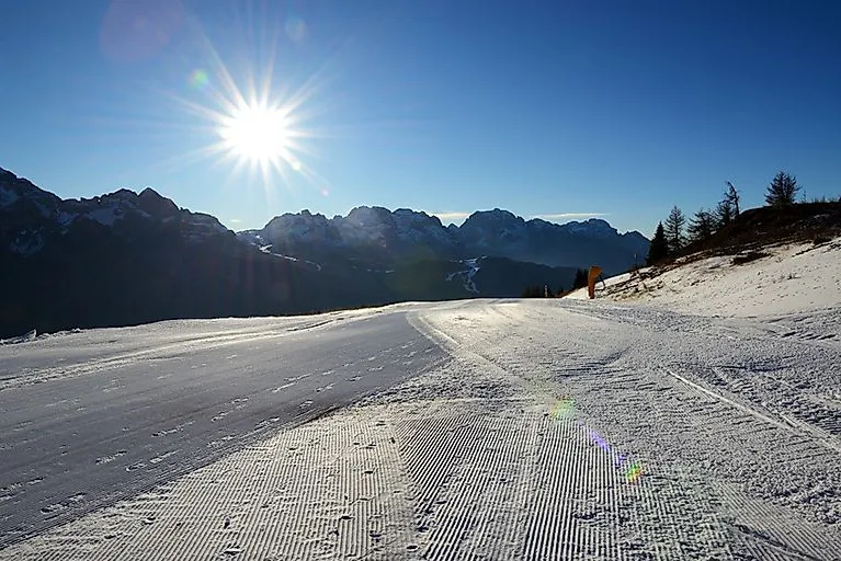 Snow-covered mountain landscape with conifers in Val di Sole with a view of the Alps