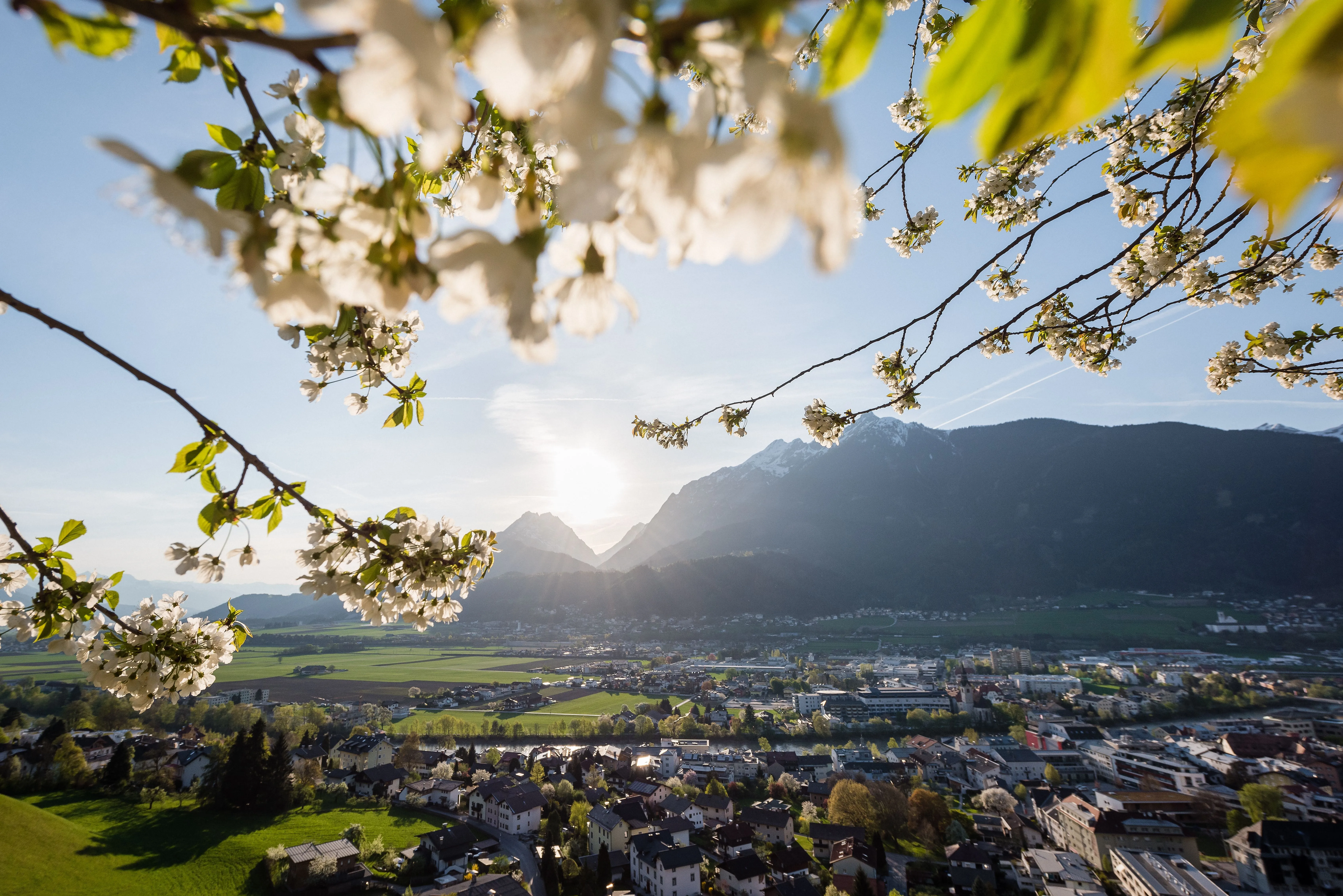 Vue de Schwaz au Tyrol avec des arbres en fleurs au premier plan et un paysage de montagne au coucher du soleil