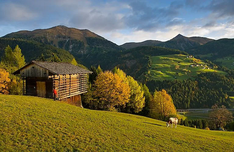Alpská chata v Lesachtalu s pastvinou pro krávy před horským panoramatem