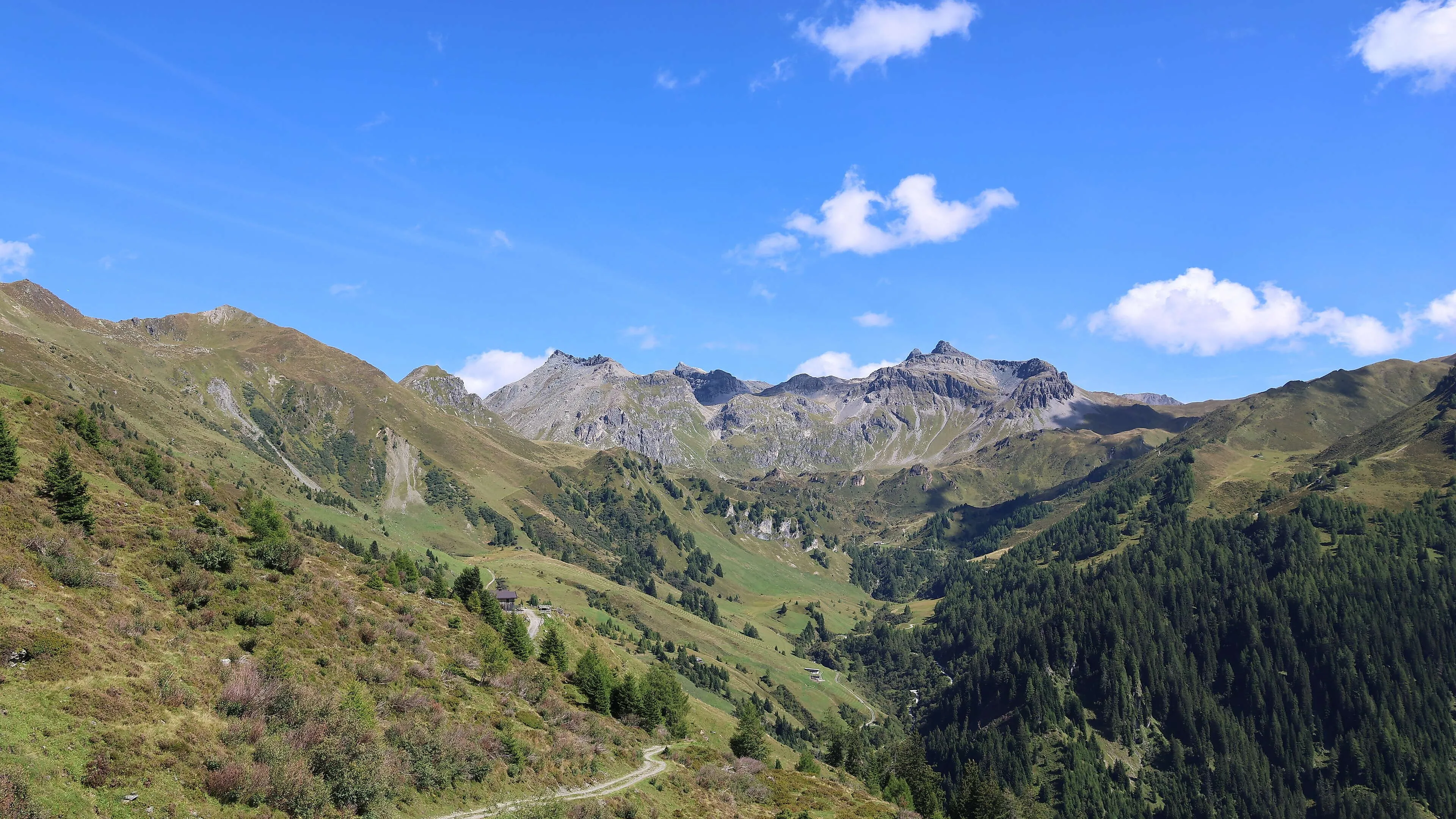 Letní panorama od salaše Peer Alm v Navisu k zeleným alpským pastvinám a vrcholkům tyrolských hor