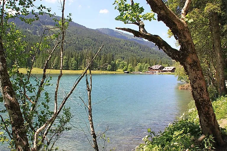 Crystal-clear lake near Wagrain, surrounded by trees and green forests - a peaceful retreat for nature lovers.
