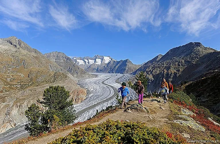Hikers on a mountain path with a view of the impressive Aletsch Glacier in the Fiescheralp.