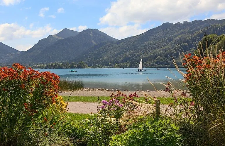 Sommerlicher Blick auf den Schliersee mit Blumen im Vordergrund und Segelboot auf dem Wasser