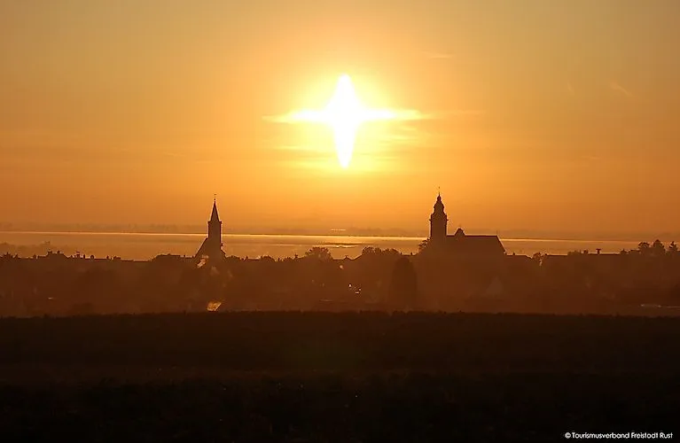 Die Silhouette der Stadt Rust mit ihren Kirchtürmen bei Sonnenaufgang, im Vordergrund herbstliche Weinreben.