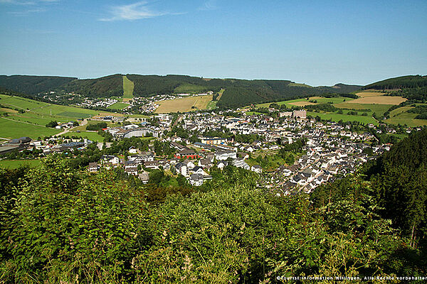 Panorama view Willingen