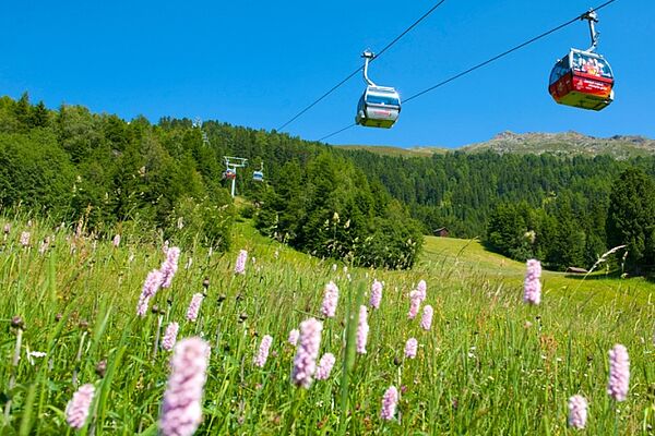 Sommer in Jerzens - Pitztal