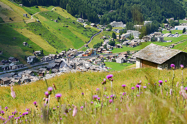 Sommerwiese in Vals