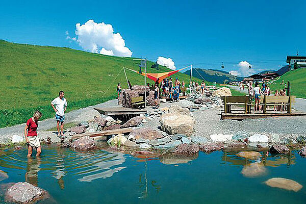 Sommerurlaub in Scheffau am Wilden Kaiser