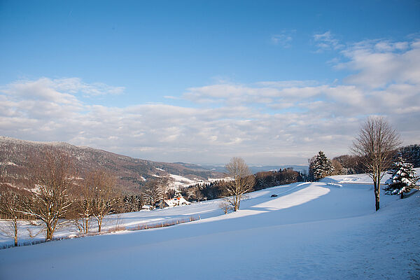 Schöfweg Brotjackriegel in winter (c) Kubinska & Hofmann GbR