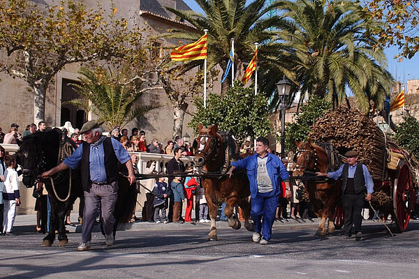 [Translate to 01_EN:] Sommer Urlaub Cambrils