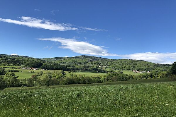 Aussichtsturm Brotjackriegel (c) TVB Region-Sonnenwald