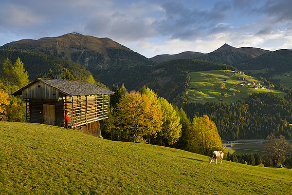 Sommer im Lesachtal - Foto: (c) Franz Gerdl TVB Lesachtal