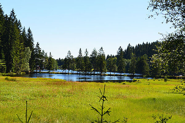 Sommer in Fichtelberg, Fichtelsee