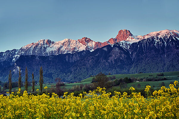 Spring at Stockhorn