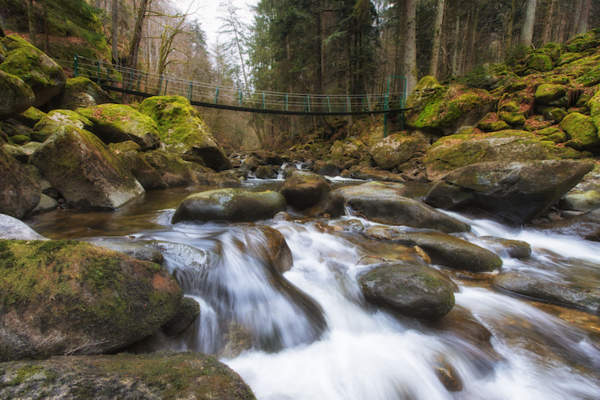 Wildbachklamm Buchberger Leite Foto: (c) Georg Knaus