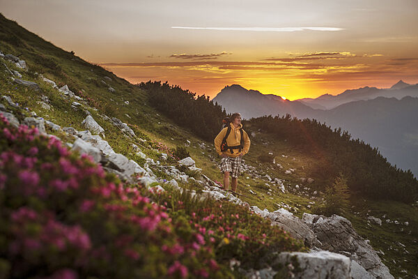 Sommerurlaub in Zauchensee