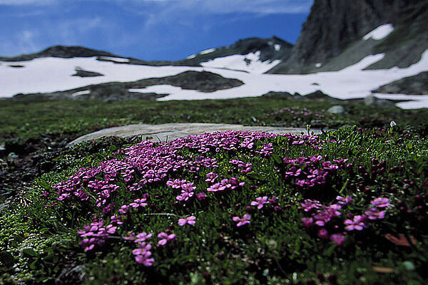 Kaprun - Kitzsteinhorn