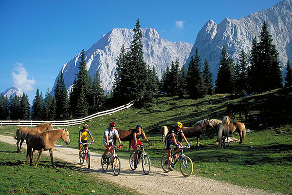 Tiroler Zugspitz Arena, Ehrwalder Alm