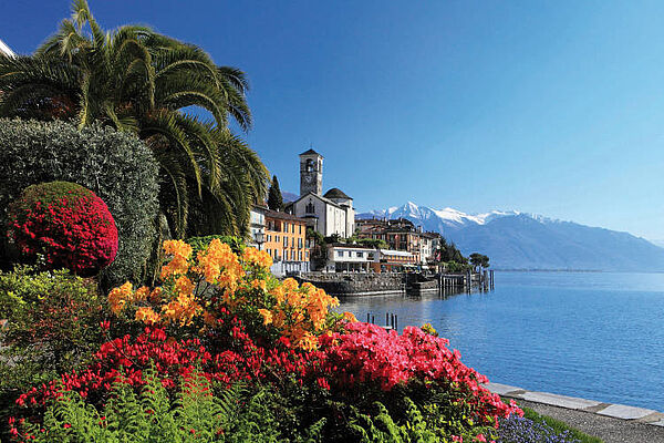 Summertime in Locarno