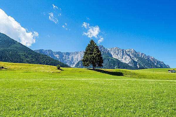 Landscape Walchsee