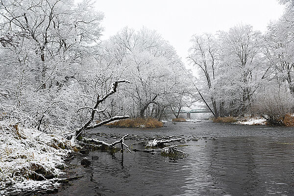 Winter im Thayatal © NP Thayatal, C. Milek