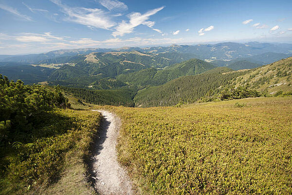 Banská Bystrica im Sommer