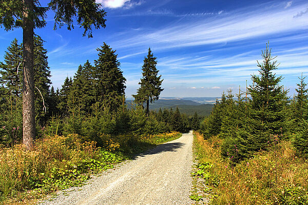 Oberwiesenthal im Sommer