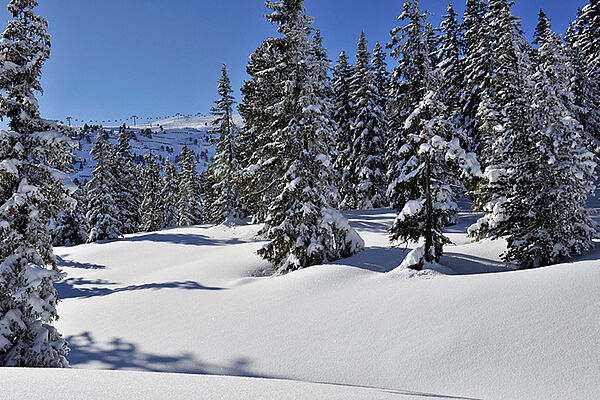 Panorama of the alps in winter