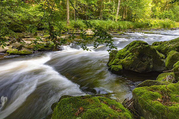 [Translate to 01_EN:] Ilztal Quelle (c) TVB Ilztal und Dreiburgenland