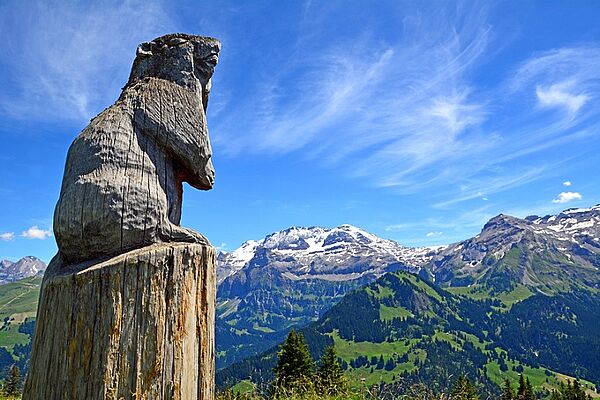 Sommer in Lenk, Simmental