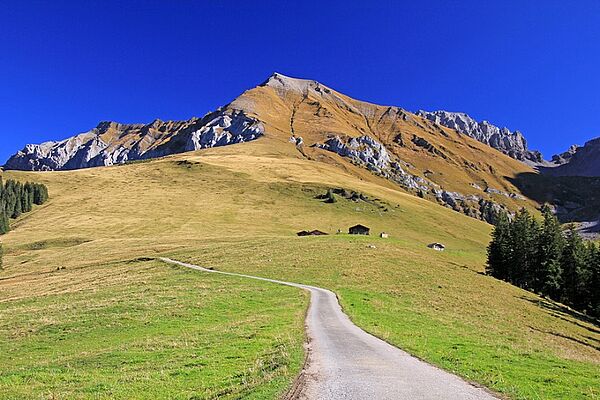 Sommerurlaub in Lenk, Simmental