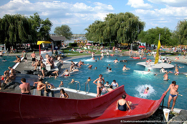 [Translate to 01_EN:] Freibad (c) Tourismusverband Freistadt Rust - Hans Wetzelsdorfer