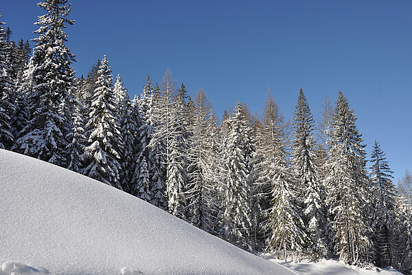 Toblach im Winter