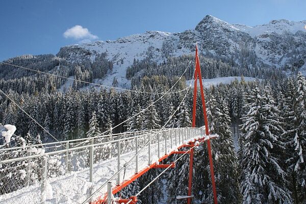 Saalbach im Winter, Baumzipfelweg