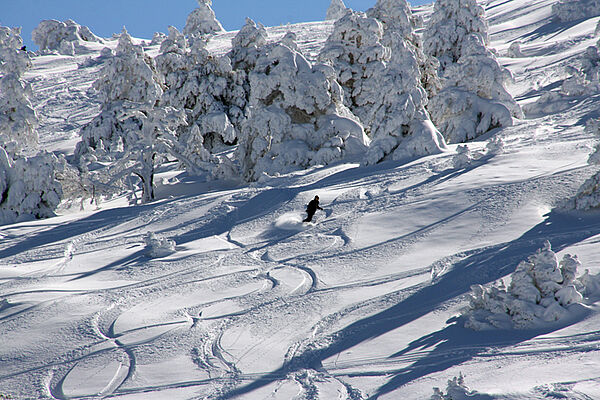 Winter in Javalambre