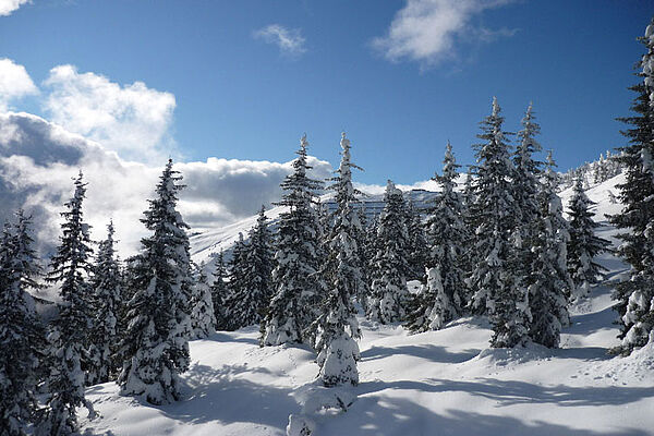 Winterurlaub in Zell am See