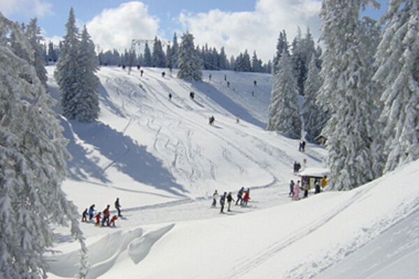 Winterurlaub in Grünau