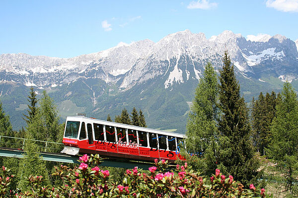 [Translate to 01_EN:] Sommer in Söll am Wilden Kaiser