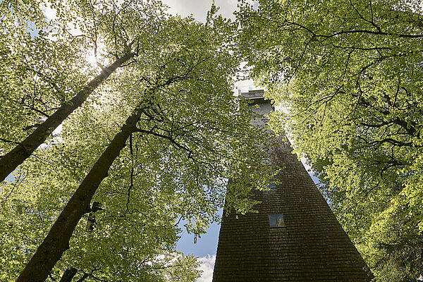 observation tower Brotjackriegel (c) Woidlife Photography