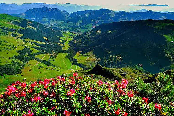 Sommerurlaub im Alpbachtal