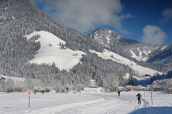 Cross-country skiing Walchsee