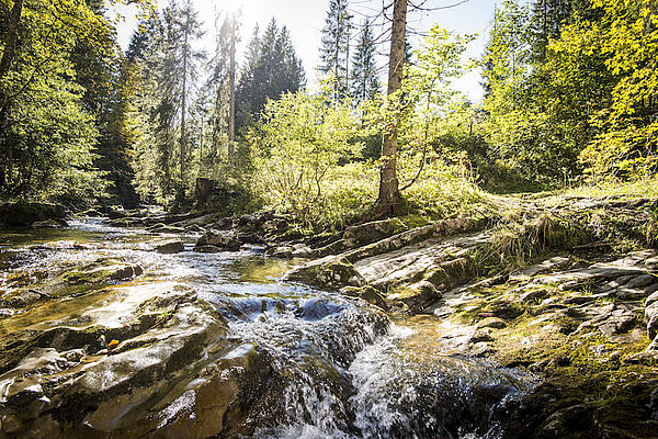 Schwarzwasserbach Foto: (c) Kleinwalsertal Tourismus eGen - Dominik Berchtold