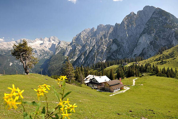 Sommer in Gosau - Dachstein West