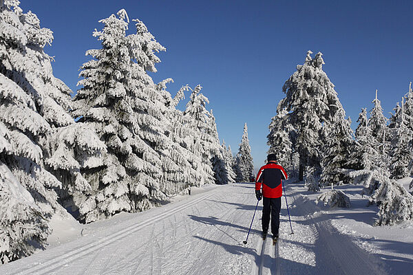 Langlauf in Oberwiesenthal