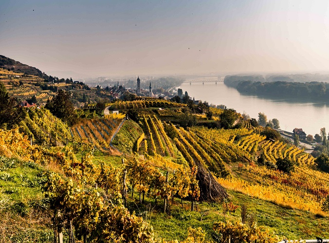 Krems im Herbst © Donau Niederösterreich, Robert Herbst