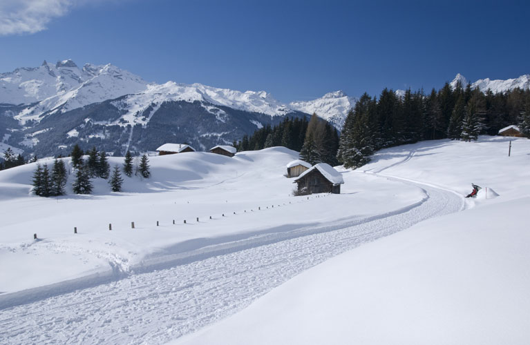 Bewährte Wege zu neue wettanbieter österreich