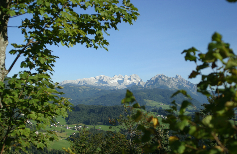 Partnersuche paternion Singletreff ab 50 wilten